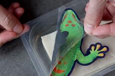 重復封合解決方案